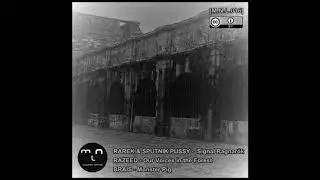 Razeed - Our Voices in the Forest (Original Mix) [Magnetic Netlabel]