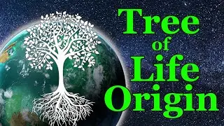 Stellaris Federations Tree of Life Origin Let's Play Ep1- We are One with the Tree