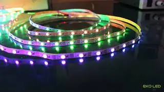 Taśma RGB 60led/m programowalna