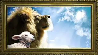 THE LION AND THE LAMB GOLDEN FRAMED TV ARTWORK | JESUS CHRIST | CHRISTIAN TV SCREENSAVER