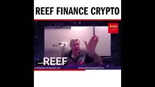 Reef finance crypto