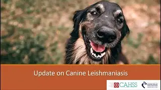 Update on Canine Leishmaniasis