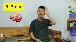 PRACTICE FSL | SCIENCE | CIRCULATORY AND NERVOUS SYSTEM | 10 WORDS by Heaven Z. Katimbang