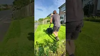 Oddly Relaxing Grass Cut #timelapse #satisfyingvideo #relaxing