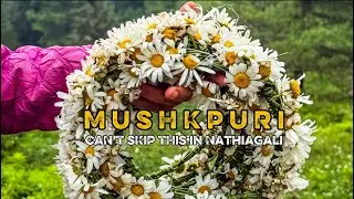 Mushkpuri Top | Best place in Nathiagali | Monsoon Trek &ndash; Watch Before You Pack