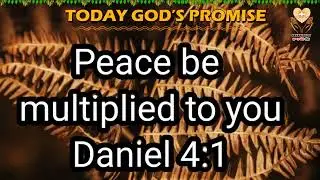Today God's Promise | Bible verse in English | Nakaapari Tv 