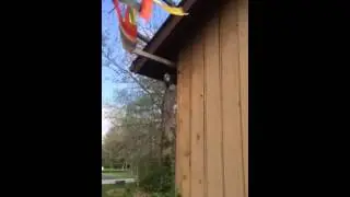 Rainbow Windsock