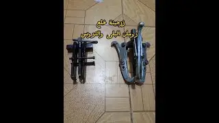 زرجينة خلع رومان البلى والتروس
