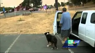Butte Fire, fueled by hot temps, expands in two counties
