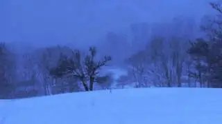 Aine Minogue & DruidStone: Oiche Chuain Silent Night