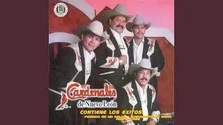 Porque Yo (Album Version)