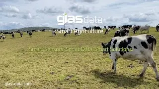 Solutions Driven Data Management using plug and play Internet of Things (IoT) sensor technology