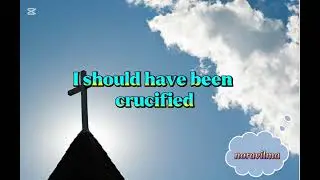 I Should Have Been Crucified/ Female voice ( cover by Amy Roberts) Lyric Video