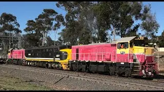 P15-S312-P12 on 9086 at Kangaroo Flat.  09-12-25.