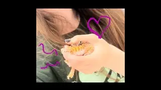 Getting consumed by my own Pacman frog