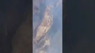 Because it is a honey, we take all the risks to get it