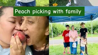 Peach picking with family 🇺🇸