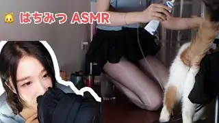 轩子巨2兔 Xuanzi ASMR 猫咪舔麦 Neko Licking & Extreme Mouth Sound | 202509