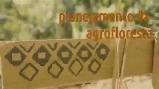 Planejamento da Agrofloresta - Taiobas
