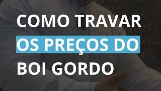 Como funciona trava de preços do boi