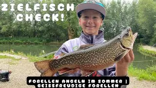 Bei&szlig;freudige Forellen im Sommer