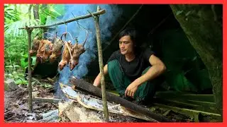 LIVE 24H - Survival Skills In Forest: Set Traps - Eat Whatever They Can Find