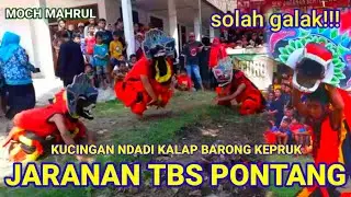 solah galak!!! KUCINGAN NDADI KALAP BARONG KEPRUK - JARANAN TBS PONTANG LIVE WATUKEBO