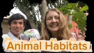 🦊 Learn Habitats for Kids | Animals & Their Homes | Science Lesson + Song (Ages 3&ndash;6)