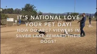 How ABC7 viewers celebrate National Love Your Pet Day | ABC7
