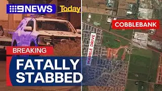 Two boys stabbed to death in Melbourne&rsquo;s west | 9 News Australia