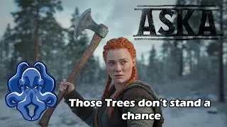 Лучший утюг: Aska S2E14