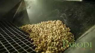 Macadamia nut oil - PARODI NUTRA