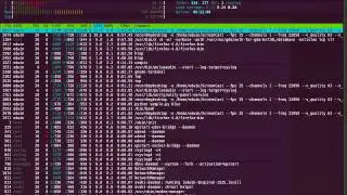 Using an Ubuntu Screen