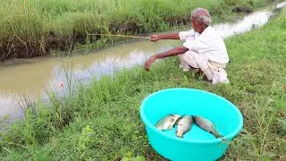 Fishing Video || If the bait is good you can easily catch fish from the village canal || Hook trap