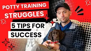 5 Tips For Puppy Potty Training