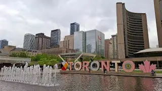 Toronto City Tour, CN Tower, Casa Loma, Rogers Arena, Dog Fountain,Chelsea Hotel,Amsterdam Brewhouse