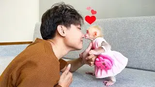 Monkey Baby Molly feels like a princess when Dad gives her an adorable gift!