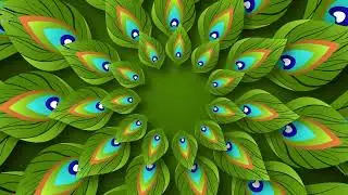 Traditional HD VJ Loops | Peacock VJ Loops FREE | Free VJ Loops Background | VJ Loops 2022