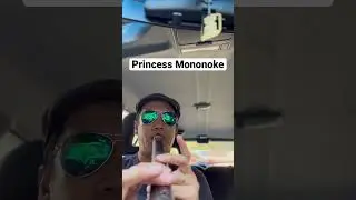 Princess Mononoke on a Native American style flute.