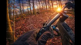 Adrenalin, Wald, Trails - und ein Moment, der die Saison hätte beenden können.