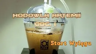 #1 / Hodowla Artemii / Brine Shrimp Hatchery / JBL Artemio 1 /