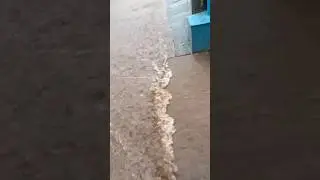 Nature had other plans today 🌧️ #heavyrain#rainvideo#rainyday#naturepower#floodedroad#rainlover#fyp