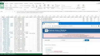 Обработка результатов секвенирования для новичков. 3. Анализ аннотированных файлов в Excel