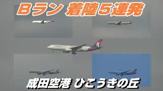 【4K】成田空港 ひこうきの丘よりＢランに離着陸する飛行機５連発