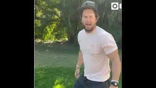 Mark Wahlberg on Detective Terry Hoitz still on the job! Where is Gator when I need him?? 😤🤣