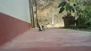4 wheel cart.