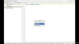 Adding python files to project