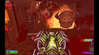 Doom 2 Project Brutality Brisk Map 21 - The Mucus Basin