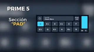 Prime 5 - Secci&oacute;n &ldquo;PAD&rdquo; - Parte 1 #loopcommunity