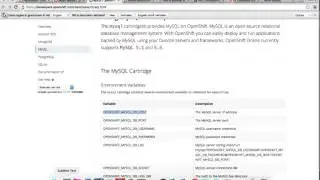 08 open shift env vars